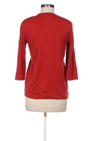 Damen Shirt Cecil, Größe L, Farbe Rot, Preis 17,00 €