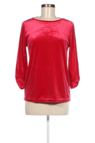 Damen Shirt Hampton Republic, Größe S, Farbe Rot, Preis 23,99 €