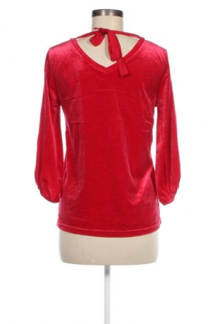 Damen Shirt Hampton Republic, Größe S, Farbe Rot, Preis € 9,99