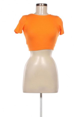 Damen Shirt House, Größe XS, Farbe Orange, Preis 2,99 €