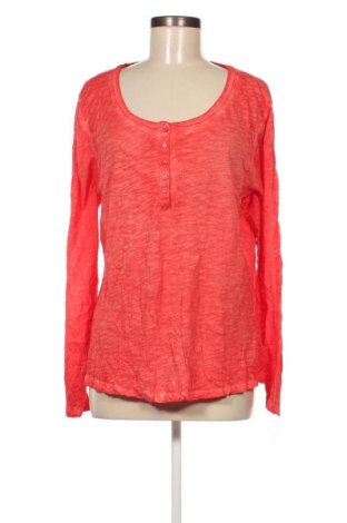 Damen Shirt Now, Größe XXL, Farbe Rot, Preis 7,99 €