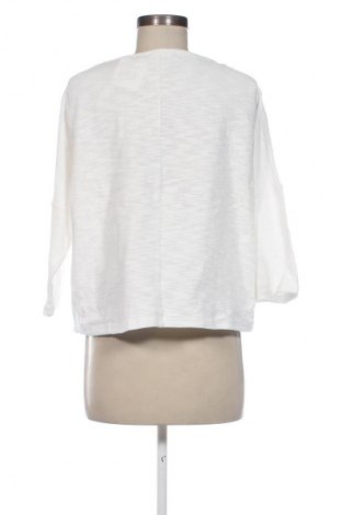 Damen Shirt Opus, Größe M, Farbe Weiß, Preis 13,99 €