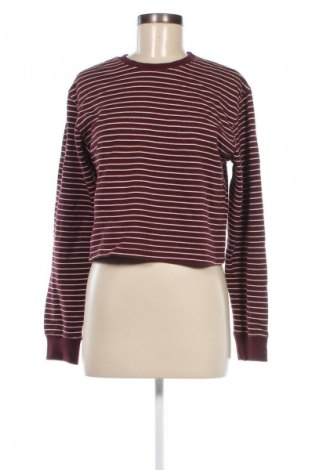 Damen Shirt Pull&Bear, Größe S, Farbe Mehrfarbig, Preis € 4,99