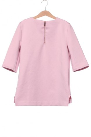 Damen Shirt Ted Baker, Größe XS, Farbe Rosa, Preis € 35,41