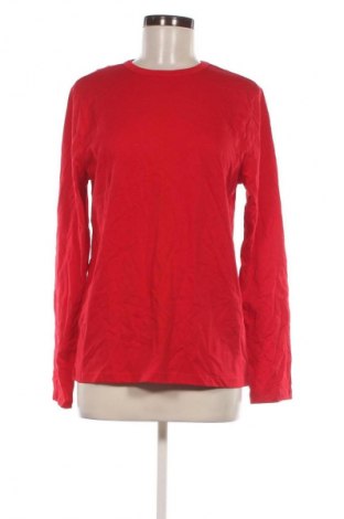 Damen Shirt Wonder Nation, Größe XXL, Farbe Rot, Preis € 9,72