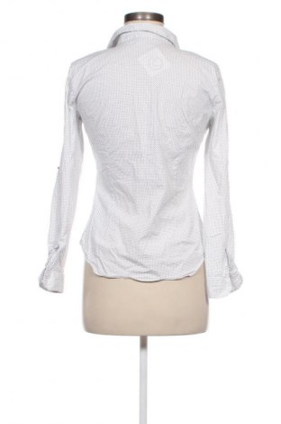 Damen Shirt Zara, Größe L, Farbe Weiß, Preis € 13,80