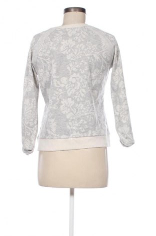 Damen Shirt Zara Trafaluc, Größe M, Farbe Grau, Preis 18,99 €