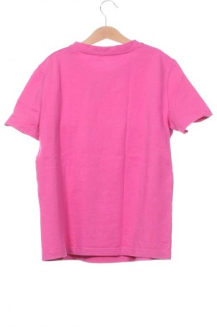 Damen T-Shirt Zara, Größe XS, Farbe Rosa, Preis 6,14 €