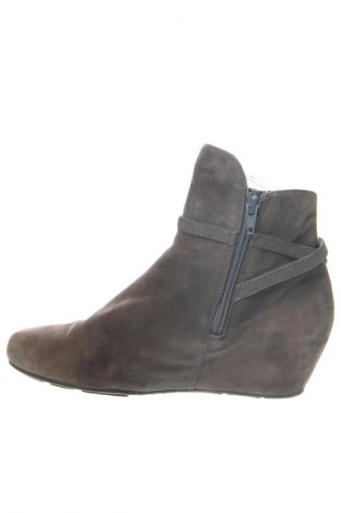 Damen Stiefeletten Hogl, Größe 38, Farbe Grau, Preis 111,09 €