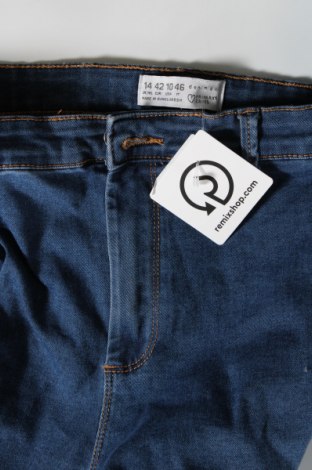 Damen Jeans Primark, Größe L, Farbe Blau, Preis 14,84 €