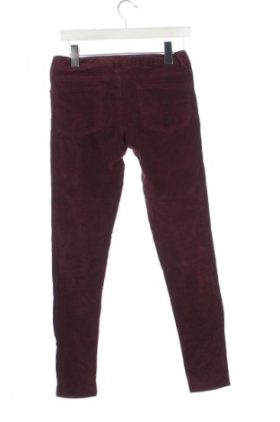 Pantaloni de velvet de femei American Eagle, Mărime XS, Culoare Mov, Preț 85,99 Lei