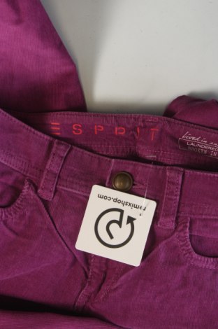 Дамски джинси Esprit, Размер XS, Цвят Лилав, Цена 33,99 лв.