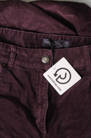 Damen Cordhose Marks & Spencer, Größe M, Farbe Lila, Preis € 18,99