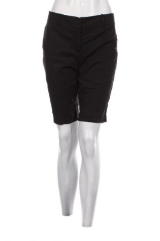 Damen Shorts Ann Taylor, Größe M, Farbe Schwarz, Preis € 20,99