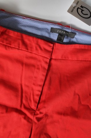 Damen Shorts Esprit, Größe M, Farbe Rot, Preis 15,99 €