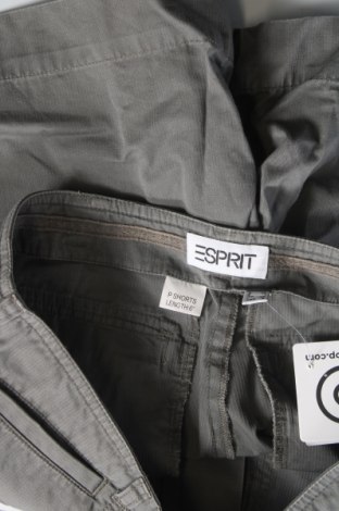 Дамски къс панталон Esprit, Размер M, Цвят Сив, Цена 34,49 лв.