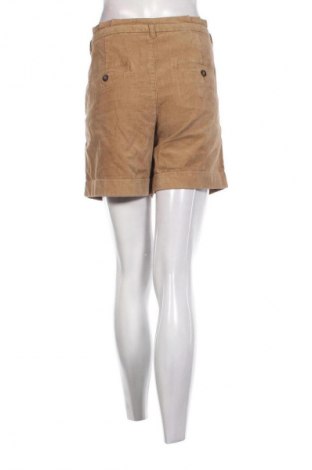 Damen Shorts Esprit, Größe XL, Farbe Beige, Preis € 13,49