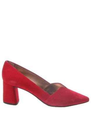 Damenschuhe Mascaro, Größe 38, Farbe Rot, Preis 63,00 €