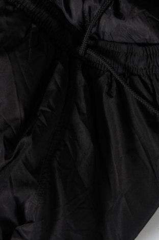 Damenhose, Größe M, Farbe Schwarz, Preis € 12,99