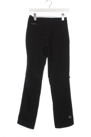 Damenhose Alpine Pro, Größe XS, Farbe Schwarz, Preis € 14,99