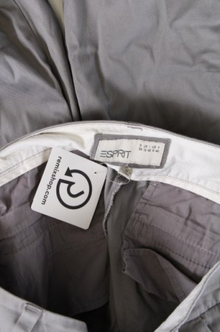 Damenhose Esprit, Größe M, Farbe Grau, Preis € 28,99