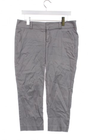 Damenhose Esprit, Größe M, Farbe Grau, Preis 28,99 €