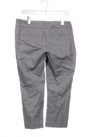 Damenhose Esprit, Größe M, Farbe Grau, Preis 28,99 €