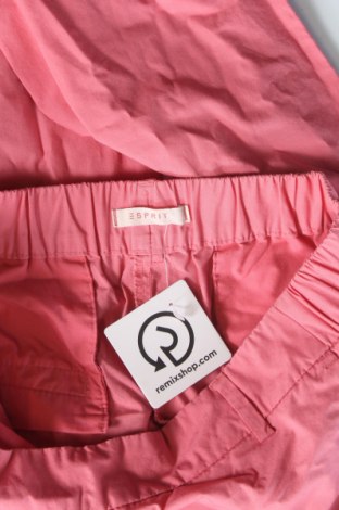 Damenhose Esprit, Größe S, Farbe Rosa, Preis € 28,99