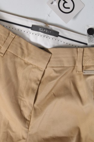 Damenhose Esprit, Größe S, Farbe Braun, Preis € 7,49