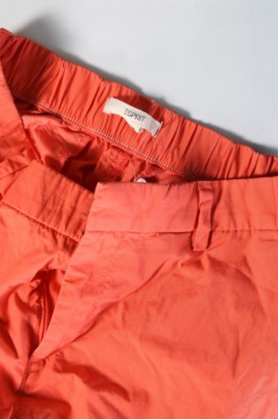 Damenhose Esprit, Größe XXS, Farbe Orange, Preis € 28,99