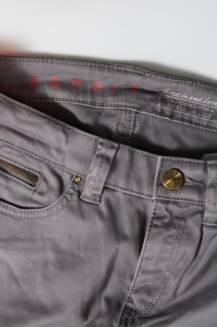 Damenhose Esprit, Größe M, Farbe Grau, Preis € 11,99