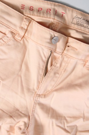 Damenhose Esprit, Größe M, Farbe Rosa, Preis € 11,99