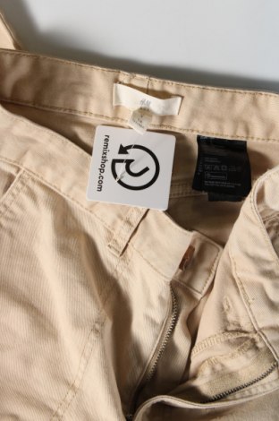 Damenhose H&M, Größe S, Farbe Beige, Preis 10,99 €