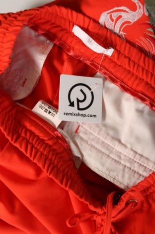 Damenhose Mac, Größe L, Farbe Orange, Preis € 22,99