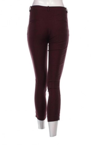 Damenhose Mango, Größe S, Farbe Rot, Preis € 9,99