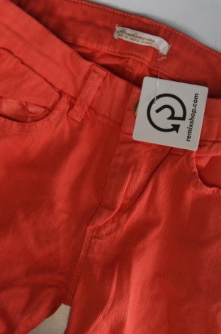 Pantaloni de femei Stradivarius, Mărime XS, Culoare Portocaliu, Preț 95,99 Lei