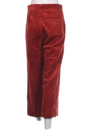 Damenhose Zara, Größe S, Farbe Rot, Preis € 9,99