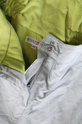 Damenhose für Wintersport, Größe XL, Farbe Grau, Preis € 40,99