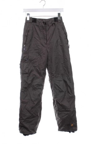 Damenhose für Wintersport Exxtasy, Größe S, Farbe Grau, Preis € 40,99