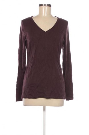 Damenpullover Comma,, Größe M, Farbe Braun, Preis € 43,49