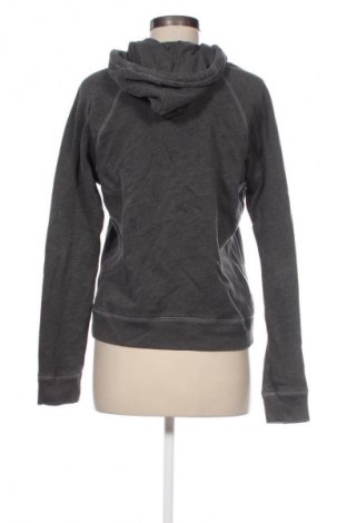 Damen Sweatshirt Hollister, Größe L, Farbe Grau, Preis € 28,99