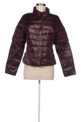 Damenjacke Hessnatur, Größe S, Farbe Rot, Preis € 61,99