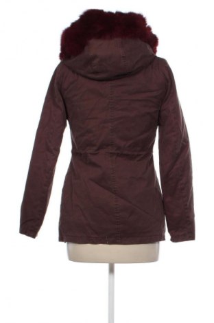 Damenjacke Witty Knitters, Größe XS, Farbe Braun, Preis € 33,99