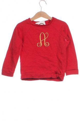 Kinder Shirt Carter's, Größe 4-5y/ 110-116 cm, Farbe Rot, Preis € 7,99