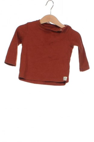 Kinder Shirt F&F, Größe 6-9m/ 68-74 cm, Farbe Braun, Preis 7,99 €