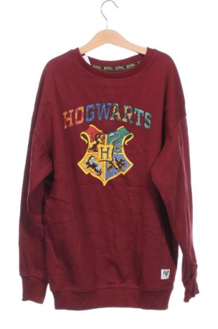 Dziecięca bluzka Harry Potter, Rozmiar 4-5y/ 110-116 cm, Kolor Kolorowy, Cena 73,99 zł