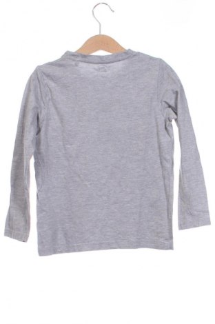 Kinder Shirt Lupilu, Größe 4-5y/ 110-116 cm, Farbe Grau, Preis 3,99 €