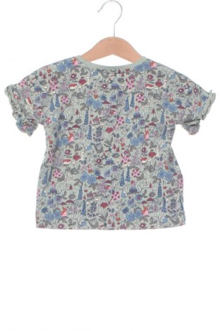 Kinder Shirt Next, Größe 12-18m/ 80-86 cm, Farbe Mehrfarbig, Preis 9,99 €