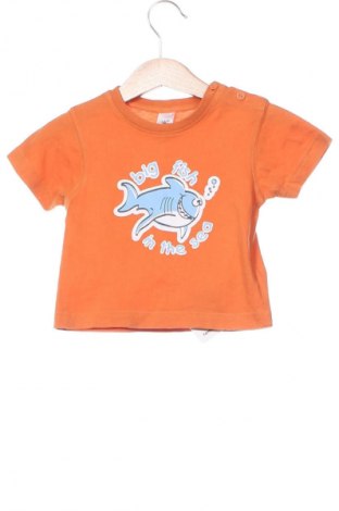 Kinder T-Shirt Baby Club, Größe 6-9m/ 68-74 cm, Farbe Orange, Preis € 4,99