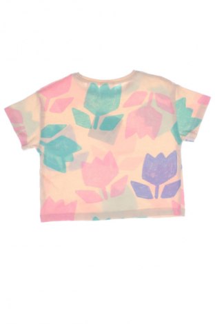 Kinder T-Shirt Zara, Größe 12-18m/ 80-86 cm, Farbe Mehrfarbig, Preis 4,99 €